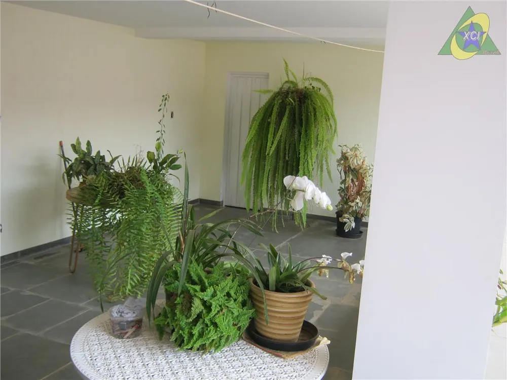 Casa, 4 quartos, 362 m² - Foto 6