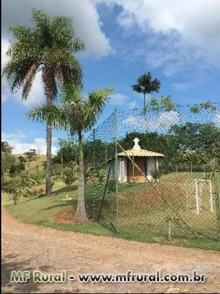 Sítio, 3 hectares - Foto 11
