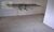 Apartamento, 4 quartos, 157 m² - Foto 11