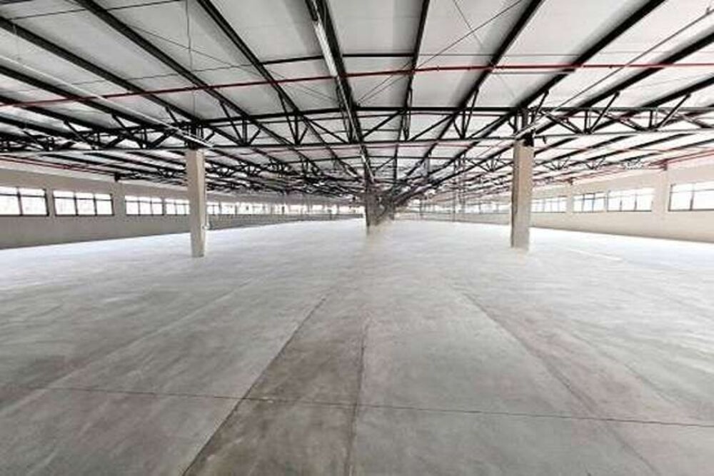Depósito-Galpão, 4571 m² - Foto 8