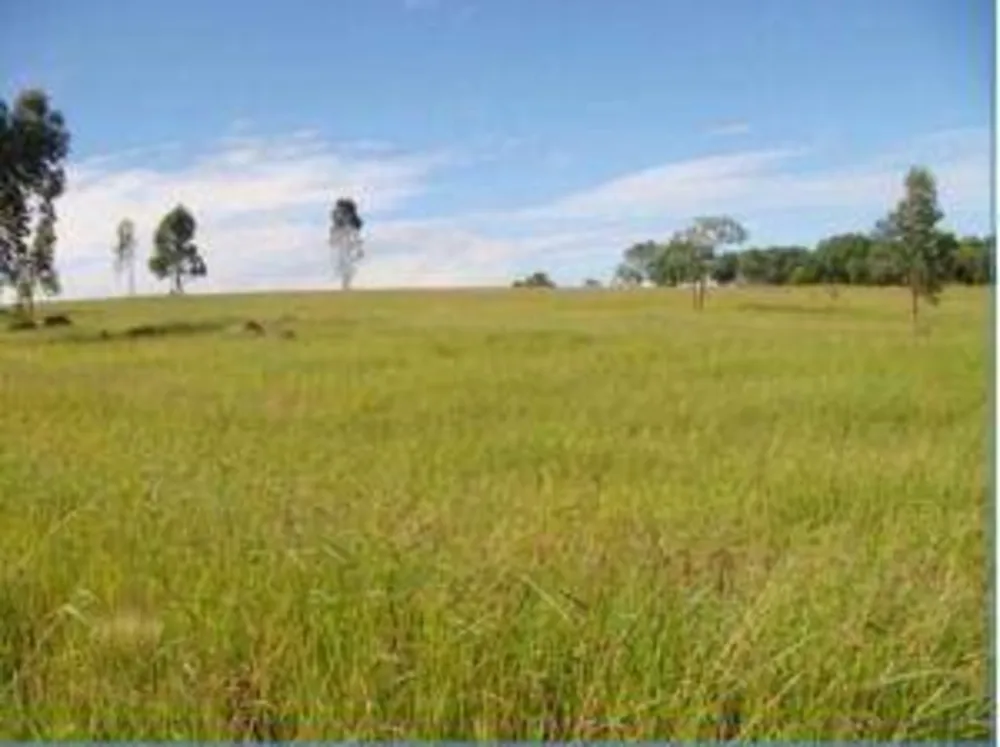 Terreno, 21 hectares - Foto 10