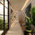 Sala-Conjunto, 61 m² - Foto 1