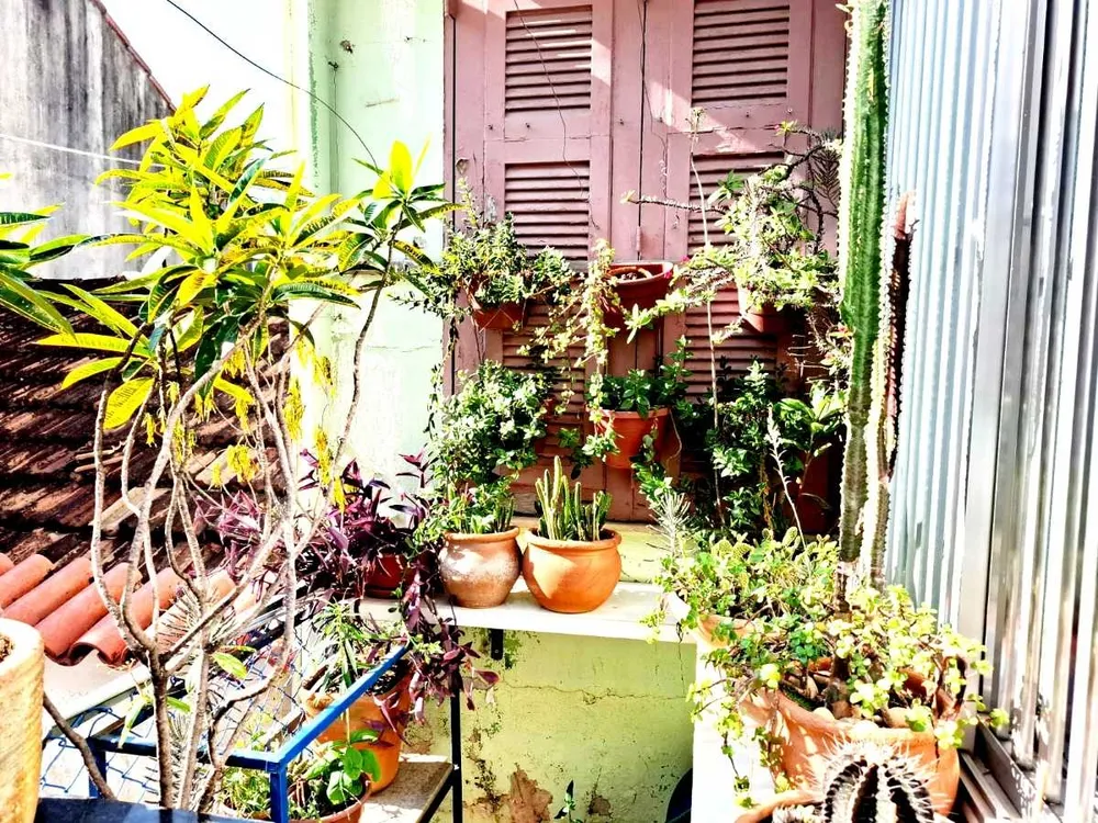 Casa, 2 quartos, 120 m² - Foto 23