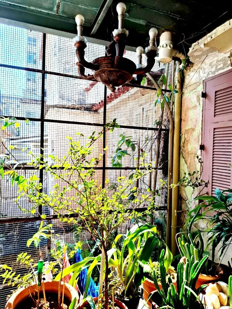 Casa, 2 quartos, 120 m² - Foto 7