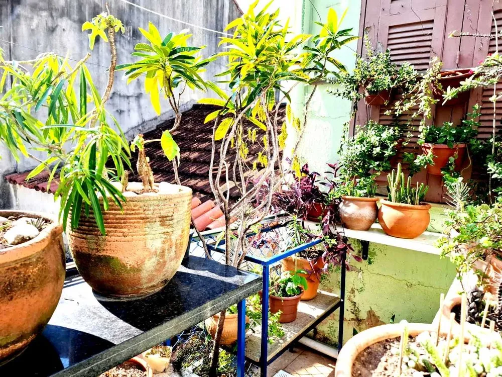 Casa, 2 quartos, 120 m² - Foto 17