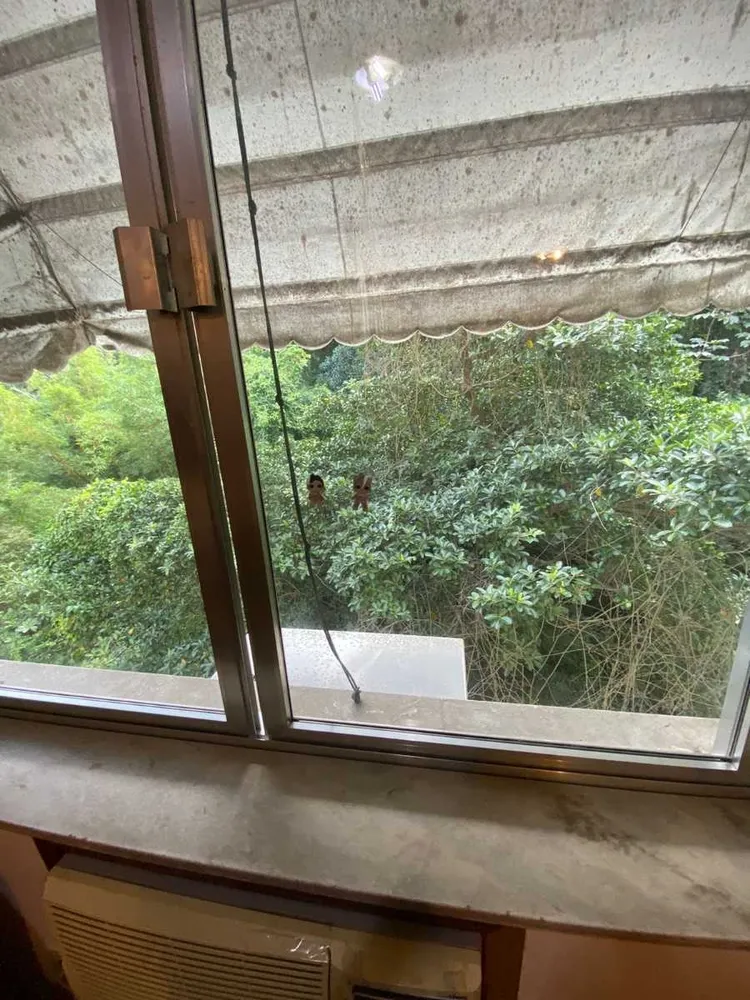 Apartamento, 4 quartos, 110 m² - Foto 16