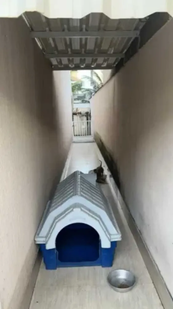 Casa, 4 quartos, 240 m² - Foto 11