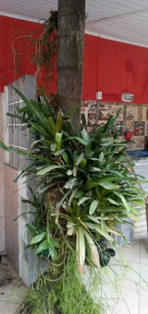 Casa, 3 quartos, 260 m² - Foto 25