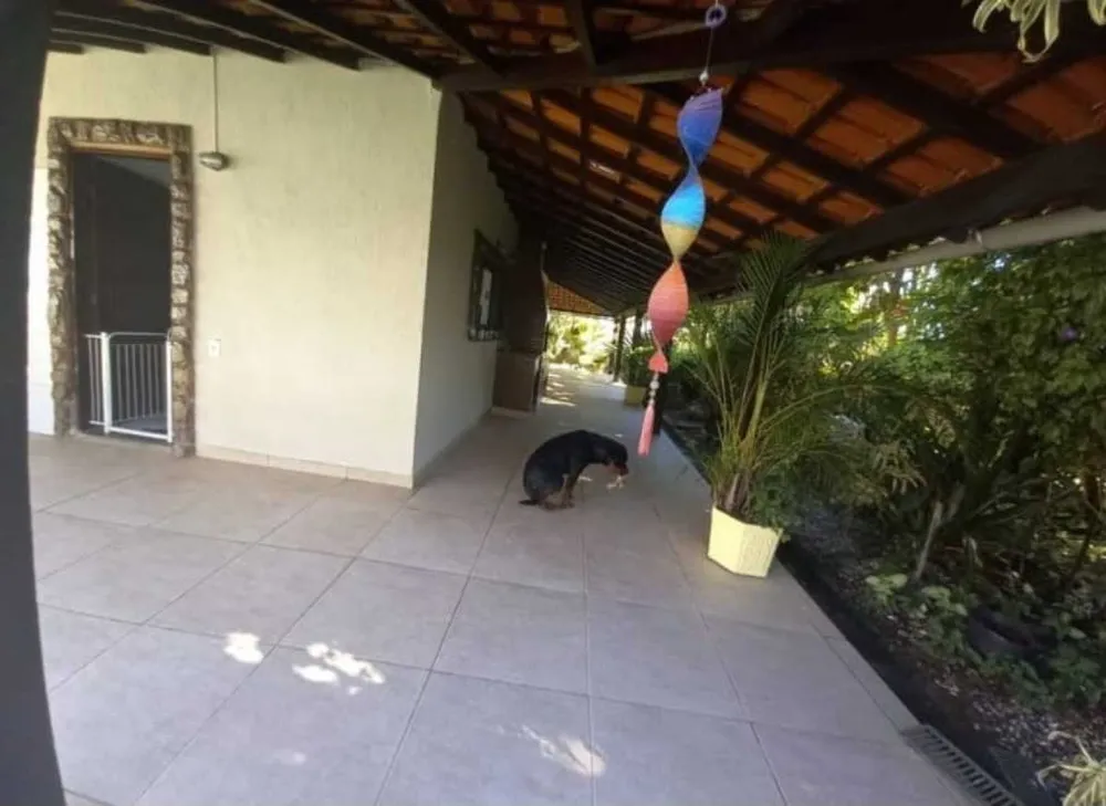 Casa, 3 quartos, 360 m² - Foto 16