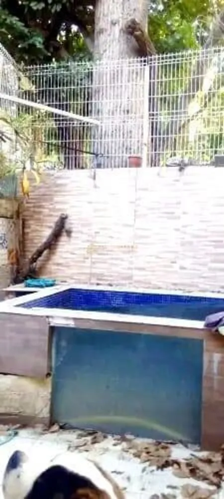 Casa, 5 quartos, 220 m² - Foto 10