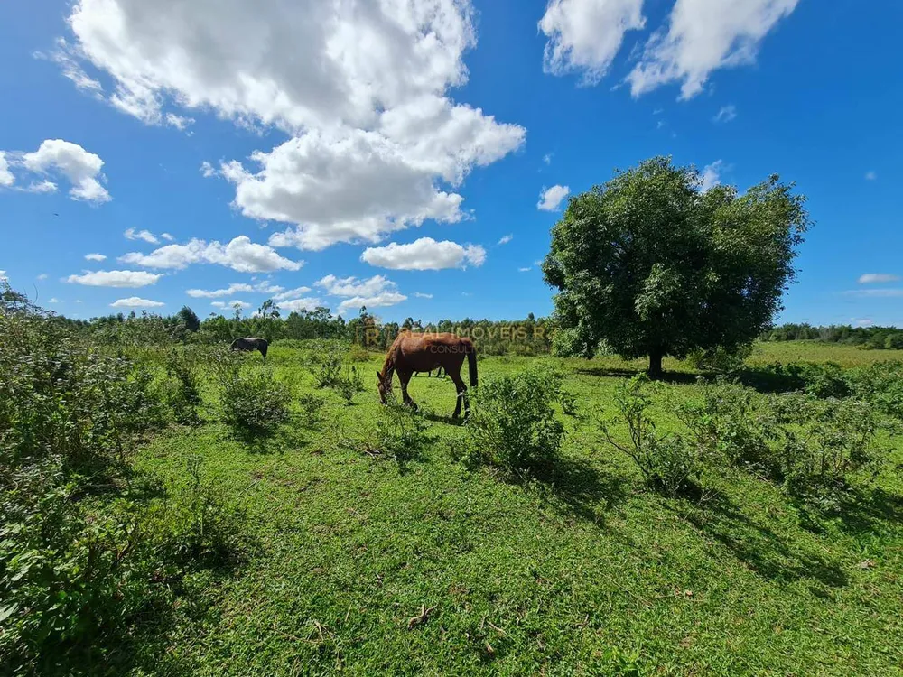 Terreno, 252 hectares - Foto 36