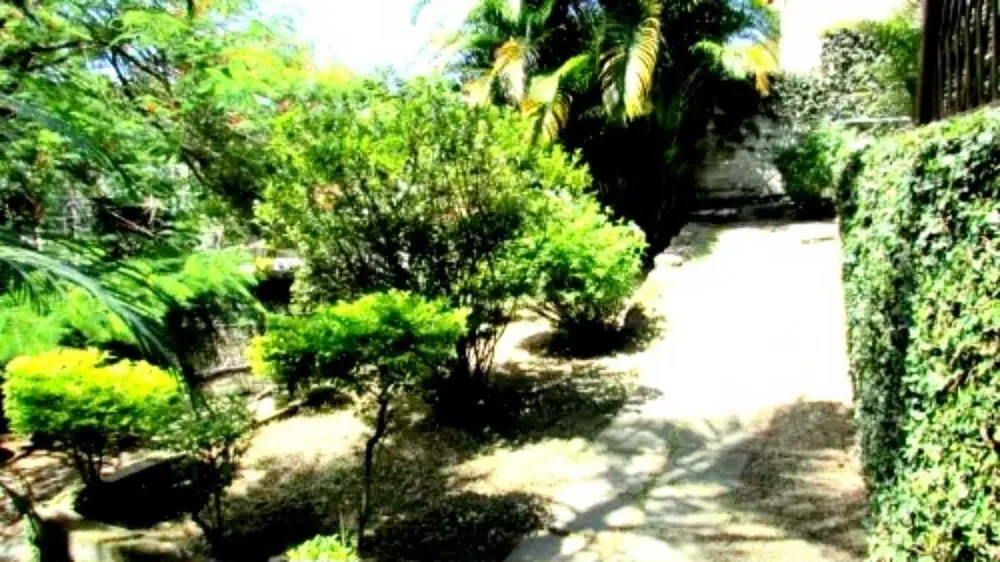 Casa, 4 quartos, 300 m² - Foto 31