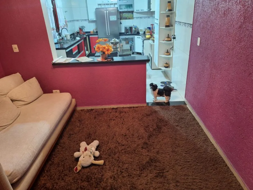 Casa, 3 quartos, 435 m² - Foto 13