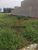 Terreno, 300 m² - Foto 2