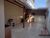 Chácara, 3 quartos, 300 m² - Foto 4
