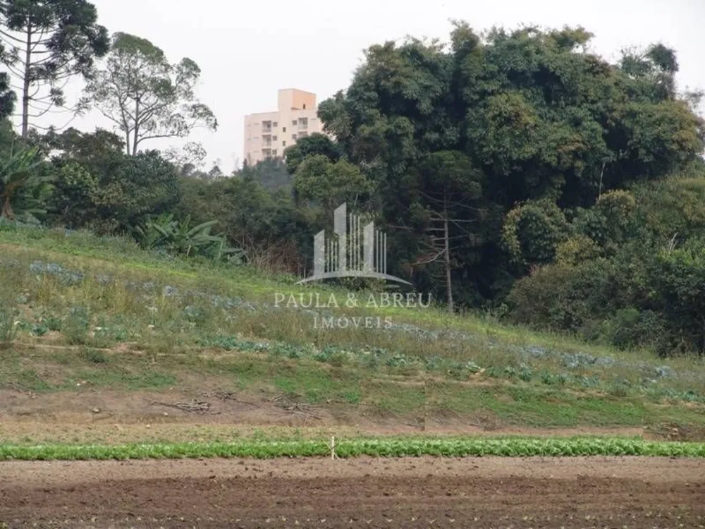 Terreno - Foto 8