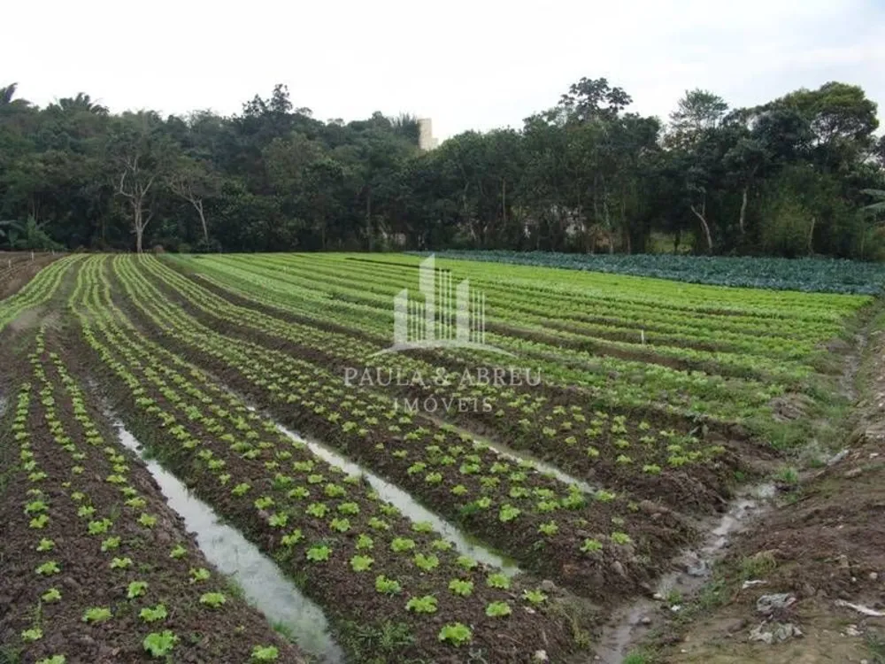 Terreno - Foto 6