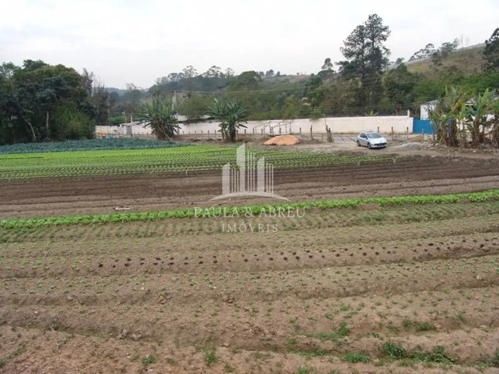 Terreno - Foto 10