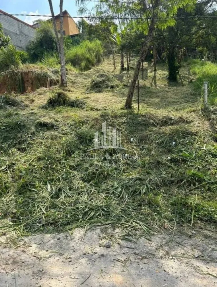 Terreno - Foto 2