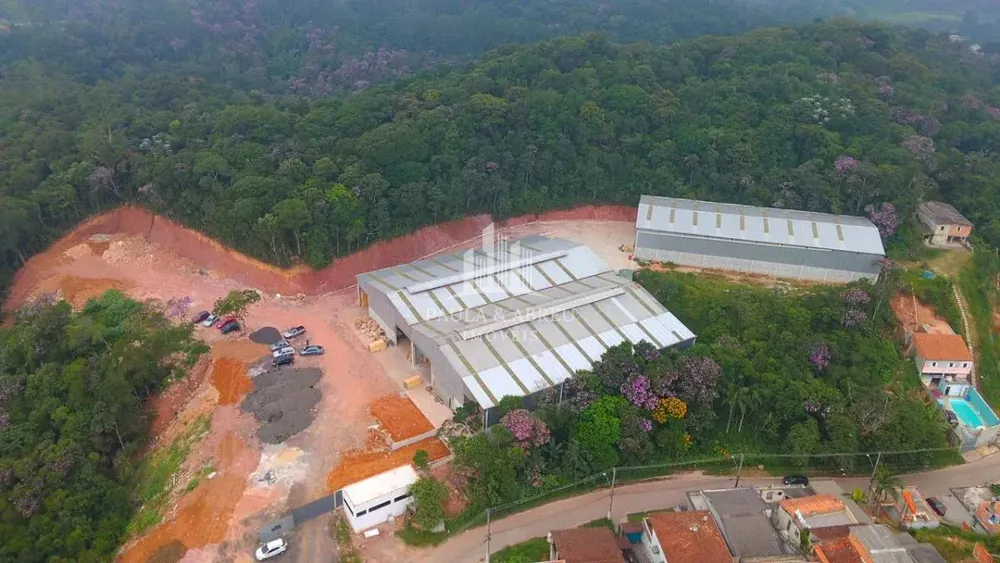 Depósito-Galpão, 4000 m² - Foto 6