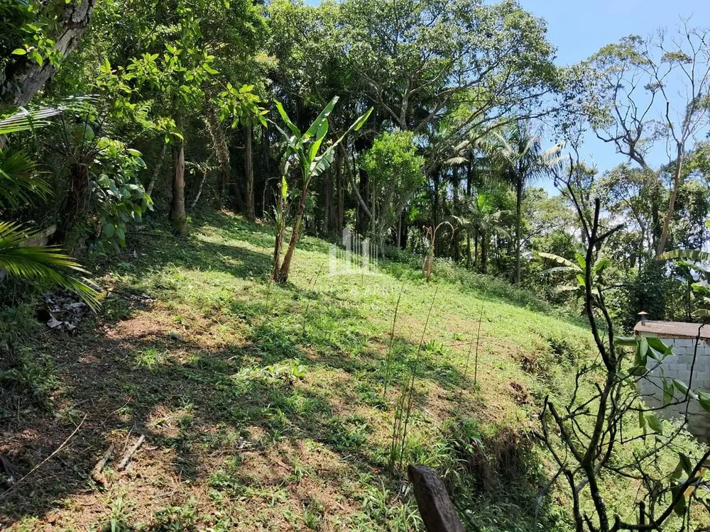 Chácara, 3 quartos - Foto 6