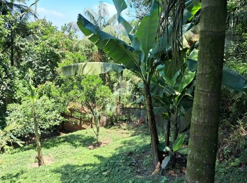 Chácara, 3 quartos - Foto 1