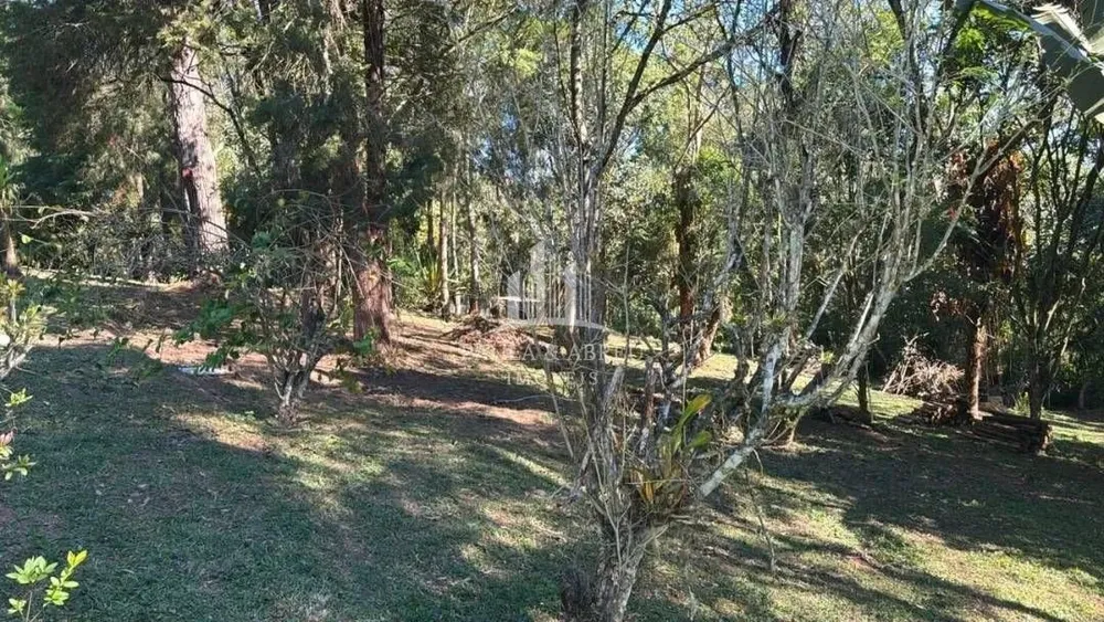 Chácara, 3 quartos - Foto 8