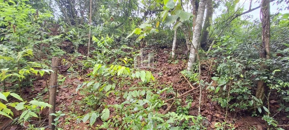 Terreno - Foto 6