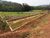 Terreno - Foto 1