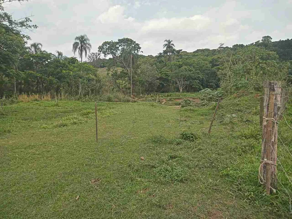 Sítio, 45 hectares - Foto 7