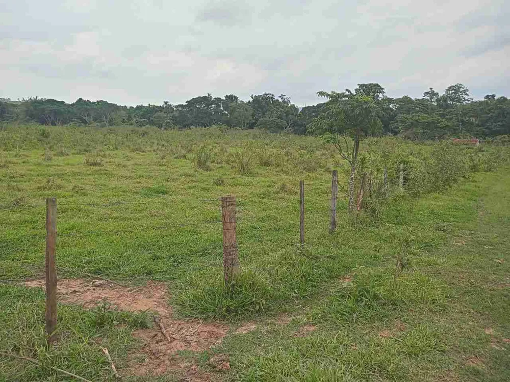 Sítio, 45 hectares - Foto 2