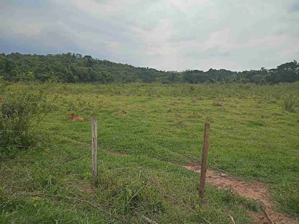Sítio, 45 hectares - Foto 6
