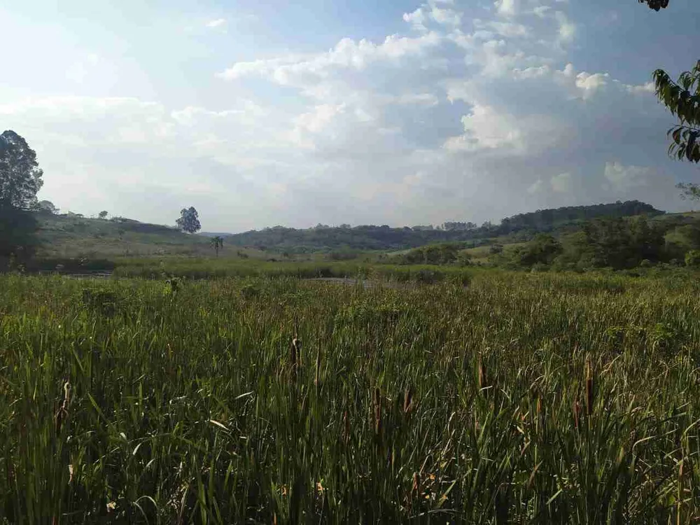 Sítio, 2 quartos, 31 hectares - Foto 11