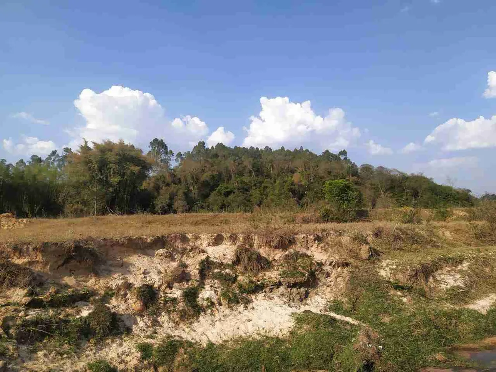 Sítio, 2 quartos, 31 hectares - Foto 9