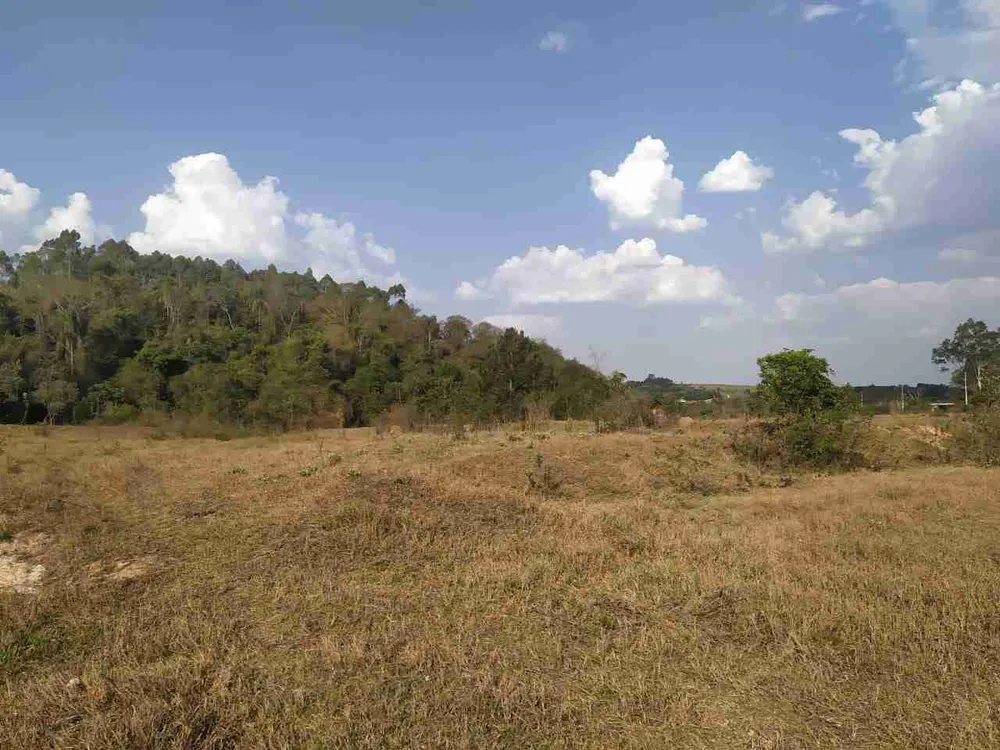 Sítio, 2 quartos, 31 hectares - Foto 12