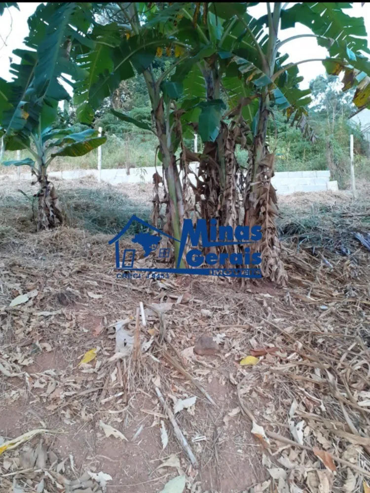 Chácara, 1 quarto, 500 m² - Foto 15