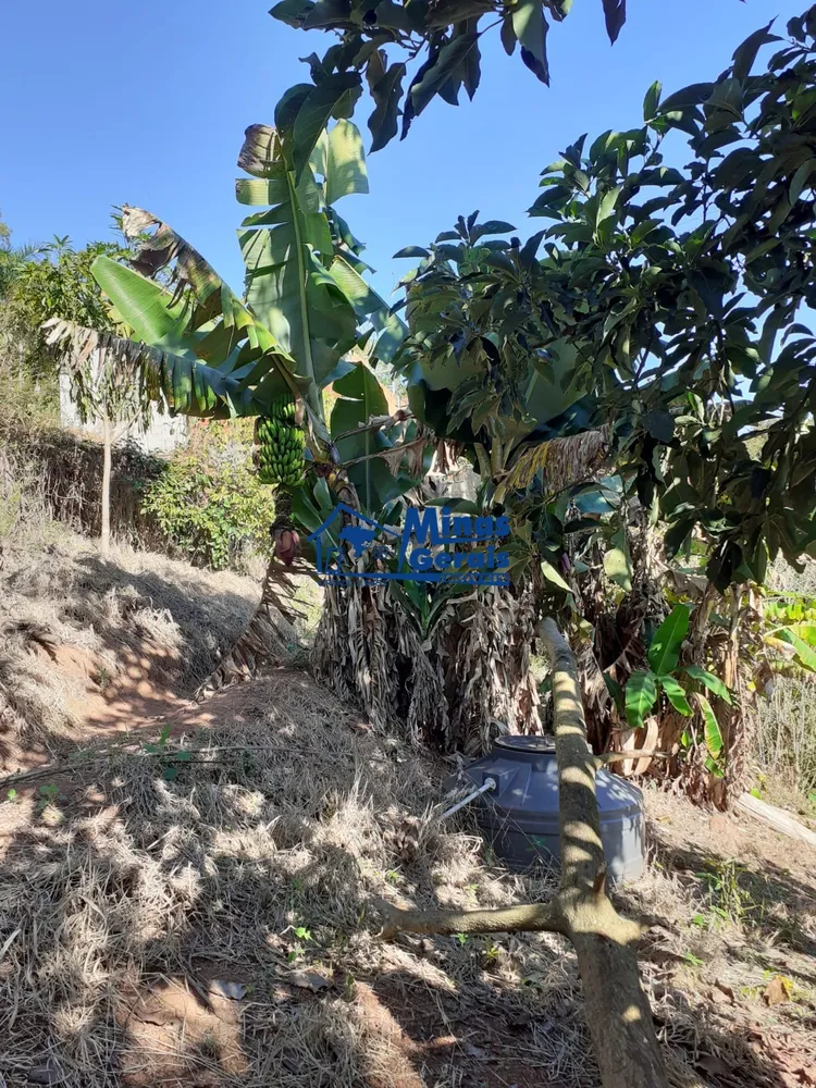 Chácara, 1 quarto, 500 m² - Foto 13