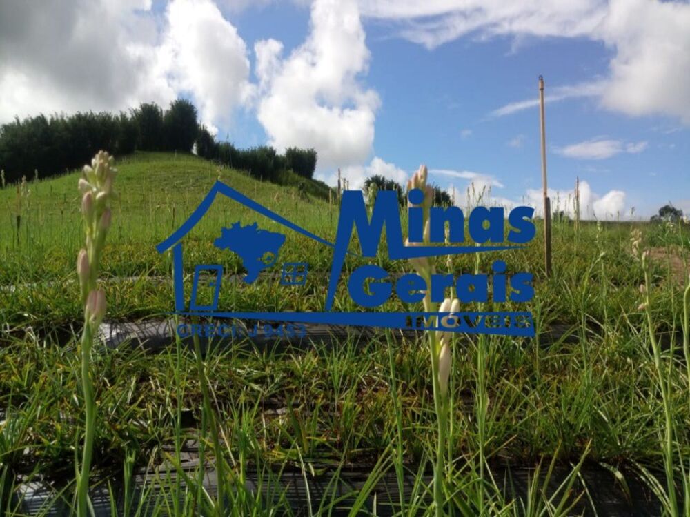 Terreno, 77600 m² - Foto 5