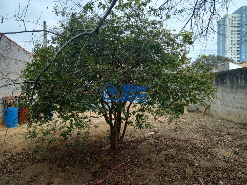 Terreno, 250 m² - Foto 4