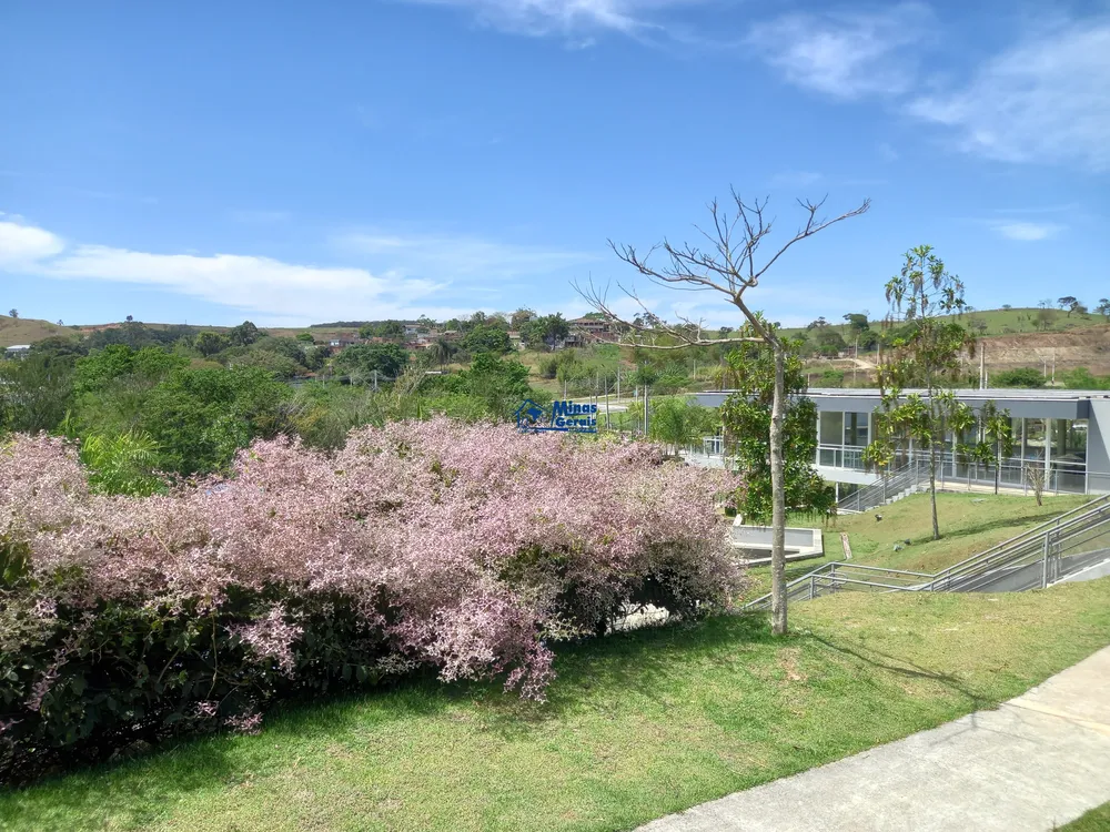 Terreno, 377 m² - Foto 17