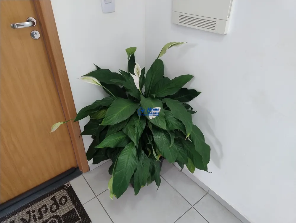 Apartamento, 2 quartos, 43 m² - Foto 2