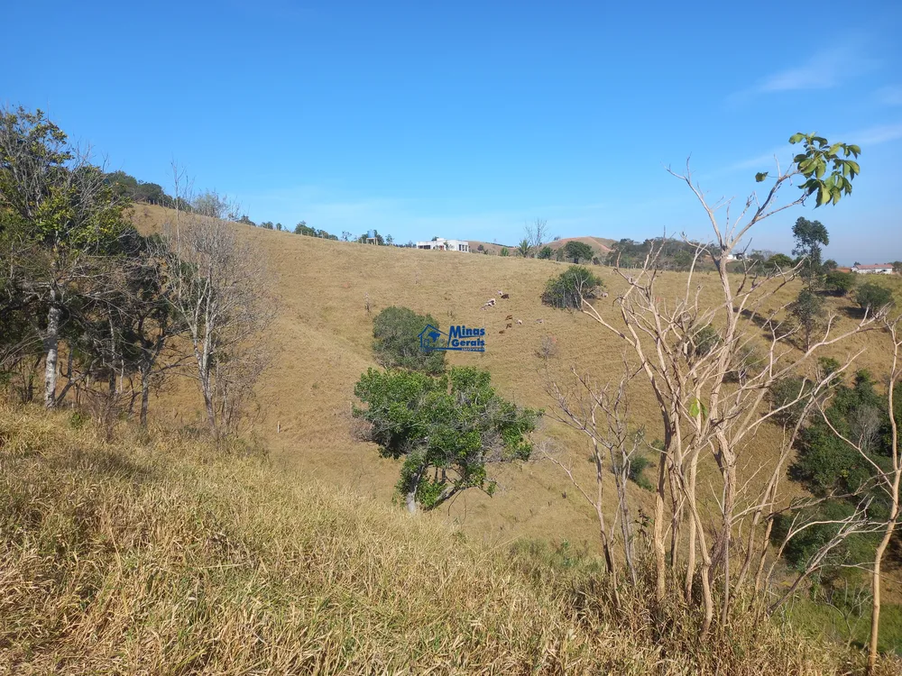 Sítio, 3 quartos, 5 hectares - Foto 15