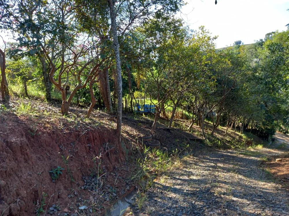 Sítio, 3 quartos, 5 hectares - Foto 12