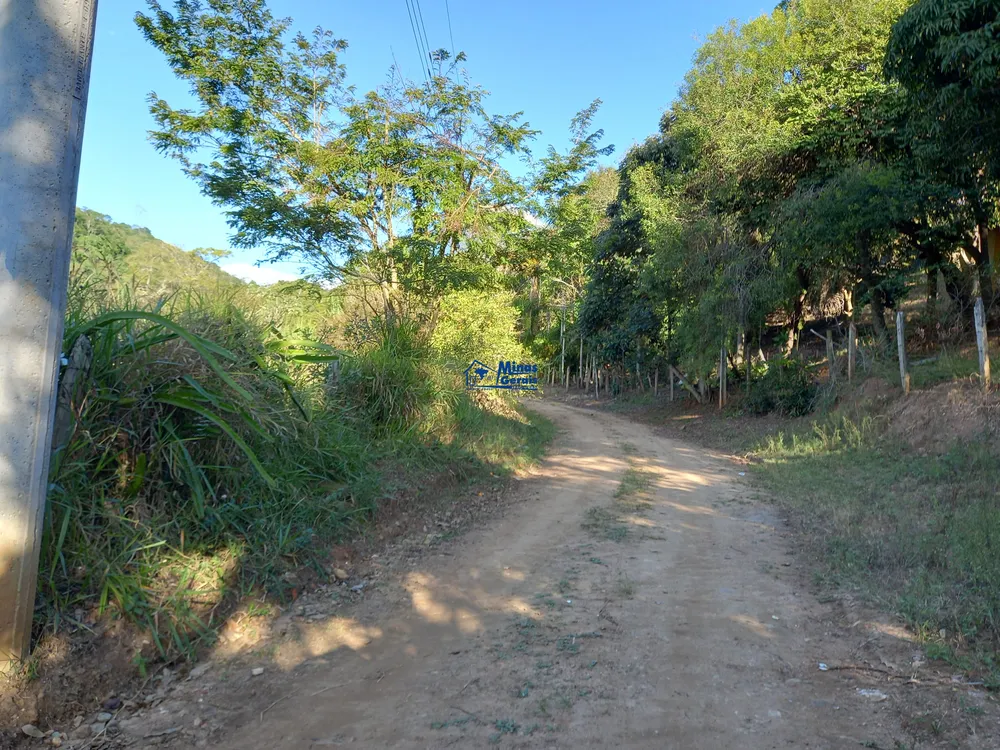 Sítio, 3 quartos, 5 hectares - Foto 9