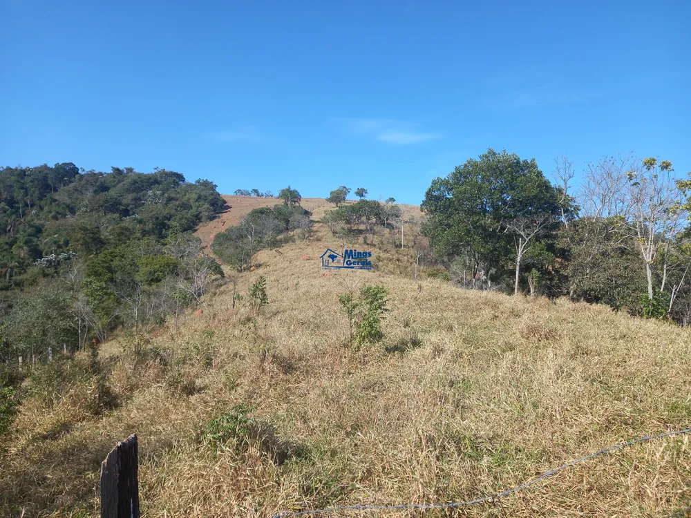 Sítio, 3 quartos, 5 hectares - Foto 14