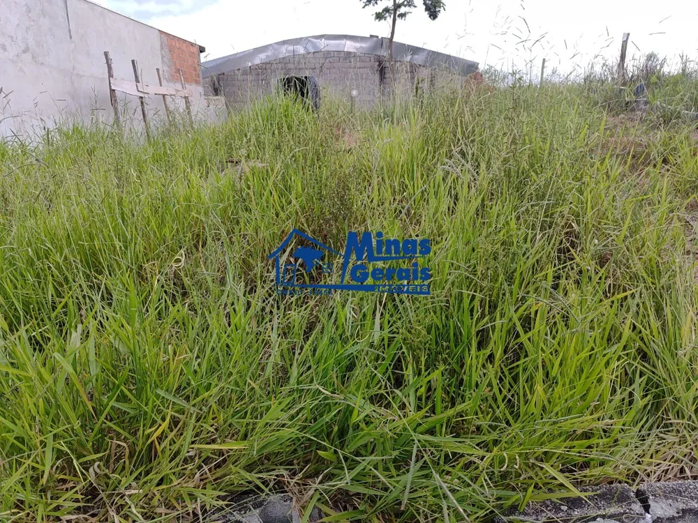 Terreno, 203 m² - Foto 4