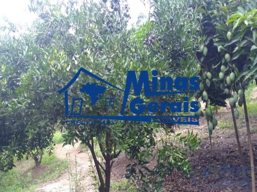 Chácara à venda com 3 quartos, 6000m² - Foto 11