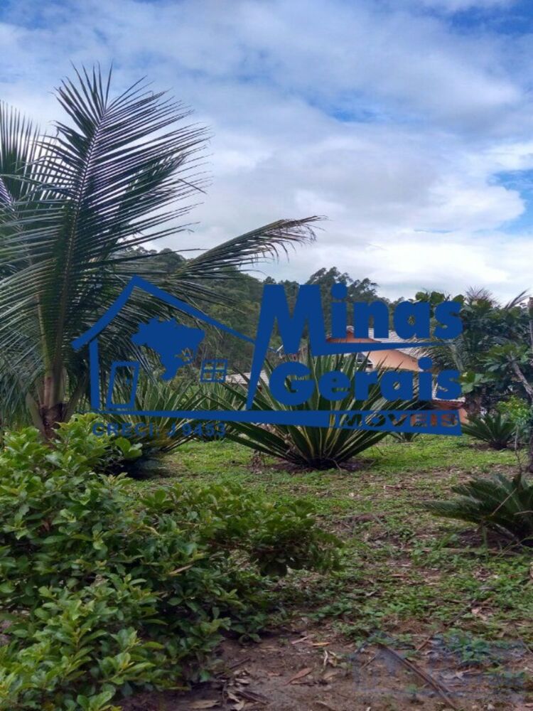 Chácara à venda com 3 quartos, 6000m² - Foto 12