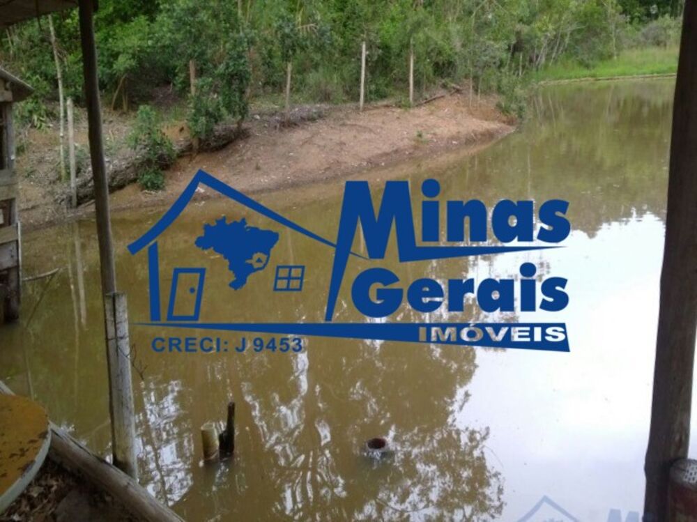 Chácara à venda com 3 quartos, 6000m² - Foto 10