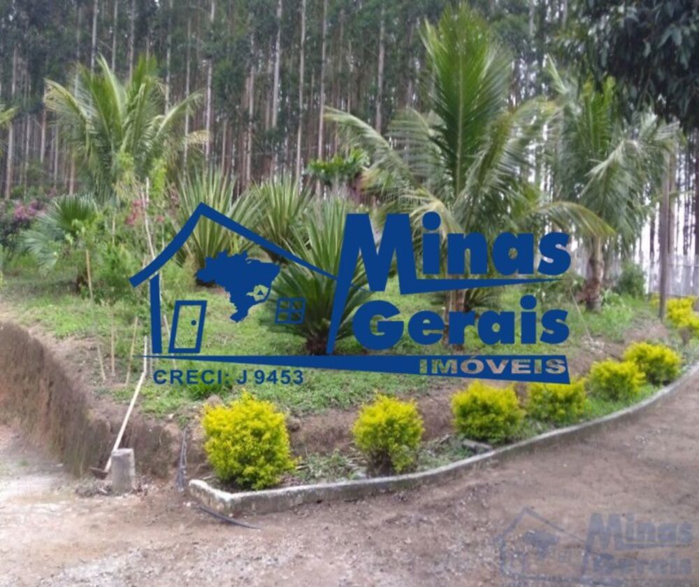 Chácara à venda com 3 quartos, 6000m² - Foto 8